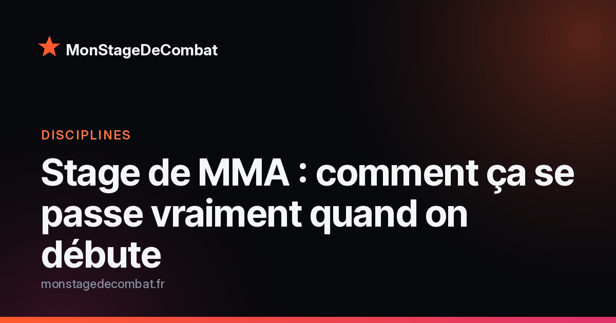 Visuel MonStageDeCombat : stage de MMA pour débutant